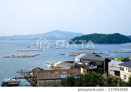 在三重縣鳥羽市伊勢志摩市峰浦溫泉的生浦灣，牡蠣養殖筏漂浮在海面上。 137693996