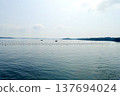 Ise-Shima: A view of the calm sea and islands from a cruise ship in Ago Bay, Shima City, Mie Prefecture. 137694024