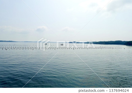 Ise-Shima: A view of the calm sea and islands from a cruise ship in Ago Bay, Shima City, Mie Prefecture. Ise-Shima: A view of the calm sea and islands from a cruise ship in Ago Bay, Shima City, Mie Prefecture. 137694024