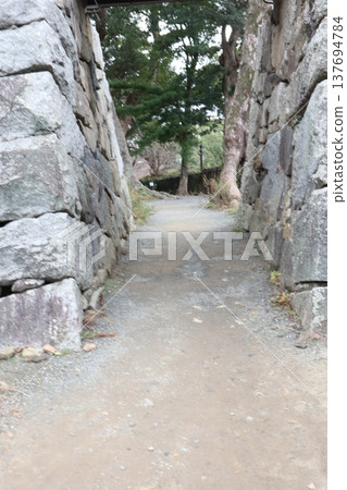 2024年，福岡，福岡市，風景，中央區，城內，福岡城，福岡城遺址，第78部分 137694784