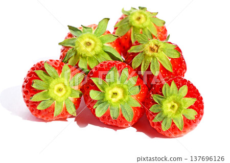 Strawberry (Maruwahime) 137696126