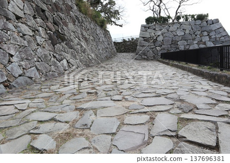 2024年，福岡，福岡市，風景，中央區，城內，福岡城，福岡城遺址，第82部分 137696381