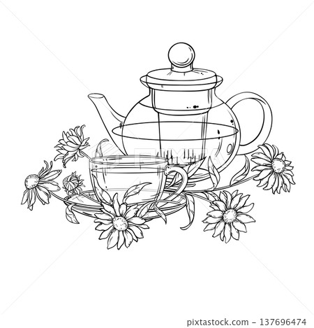 Echinacea Tea in Teapot Outline Illustration. Echinacea Tea in Teapot Outline Illustration. 137696474