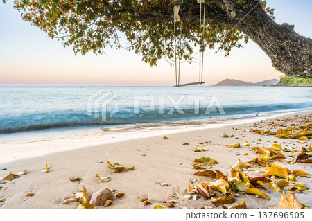 Serene Tropical Beach with Tree Swing at Dawn 137696505