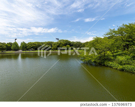 Nagai Botanical Gardens in midsummer Nagai Botanical Gardens in midsummer 137696973