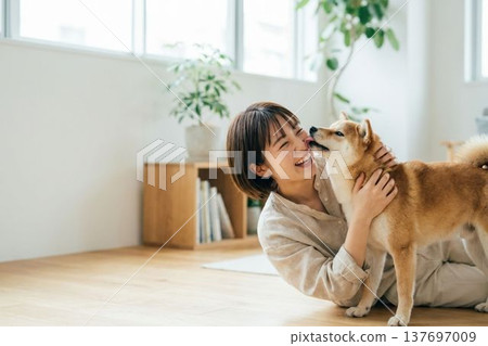 與柴犬共度寧靜生活－室內互動的輕鬆場景 137697009