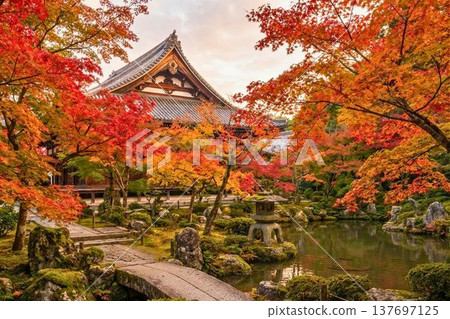 秋日里，日本花園和寺廟被五彩斑斕的秋葉裝點，構成了一幅寧靜祥和的日本田園風光。 137697125