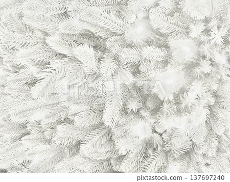 frosted white fir branches close-up texture for winter web design and holiday branding frosted white fir branches close-up texture for winter web design and holiday branding 137697240