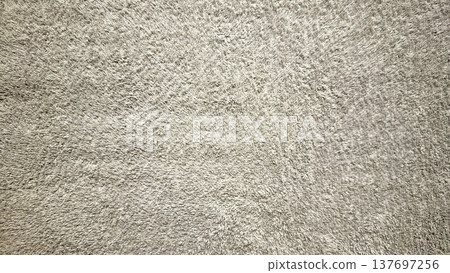 close-up beige shaggy carpet texture for web design and branding 137697256