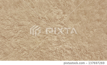 soft beige fluffy fur texture closeup for web background design soft beige fluffy fur texture closeup for web background design 137697269