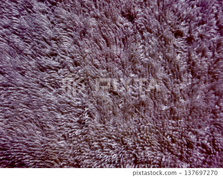 purple shaggy fabric texture closeup for web design and branding purple shaggy fabric texture closeup for web design and branding 137697270