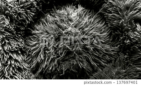 microscopic microvilli domes in black and white sem detail unveiling dense hairlike projections on epithelial surface for scientific editorial illustration and abstract texture wallpaper microscopic microvilli domes in black and white sem detail unveiling dense hairlike projections on epithelial surface for scientific editorial illustration and abstract texture wallpaper 137697401
