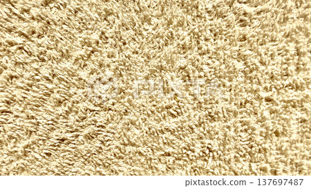 creamy beige shag carpet closeup fluffy fibers soft textured surface abstract background wallpaper banner copy space creamy beige shag carpet closeup fluffy fibers soft textured surface abstract background wallpaper banner copy space 137697487