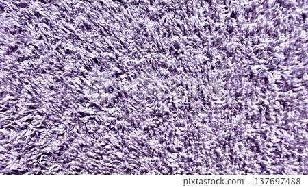 lush lavender shag texture closeup with swirling fluffy fibers and soft ethereal gradients for cozy wallpaper or abstract banner backdrop lush lavender shag texture closeup with swirling fluffy fibers and soft ethereal gradients for cozy wallpaper or abstract banner backdrop 137697488