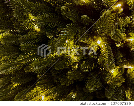 close-up evergreen pine branches with warm fairy lights creating a festive christmas texture background ideal for web design, print media, branding accent, and seasonal visual decor close-up evergreen pine branches with warm fairy lights creating a festive christmas texture background ideal for web design, print media, branding accent, and seasonal visual decor 137697529