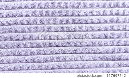 lavender ribbed plush fabric texture with soft striped pile, seamless textile background for web design, print media, branding, packaging, interior decor surface lavender ribbed plush fabric texture with soft striped pile, seamless textile background for web design, print media, branding, packaging, interior decor surface 137697542