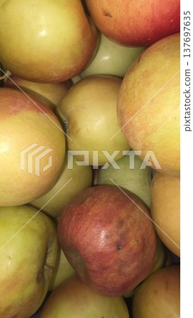 Fresh Mixed Apples Close-Up Fresh Mixed Apples Close-Up 137697635