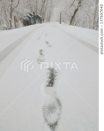 Winter silence: The contrast between tire tracks and footprints etched into the snowfield. Winter in the Kushiro Marsh: Tracks and footprints left on the snowy road. Winter silence: The contrast between tire tracks and footprints etched into the snowfield. Winter in the Kushiro Marsh: Tracks and footprints left on the snowy road. 137697640
