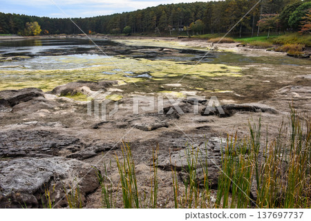 Ponds drying up due to lack of rain Ponds drying up due to lack of rain 137697737
