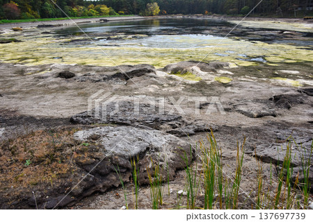 Ponds drying up due to lack of rain Ponds drying up due to lack of rain 137697739