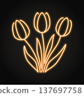 Bouquet of tulips neon icon 137697758