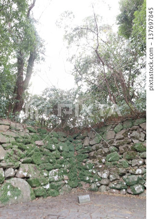 2024年,福岡,福岡市,風景,中央區,城內,福岡城,福岡城遺址,第92部分 2024年,福岡,福岡市,風景,中央區,城內,福岡城,福岡城遺址,第92部分 137697845