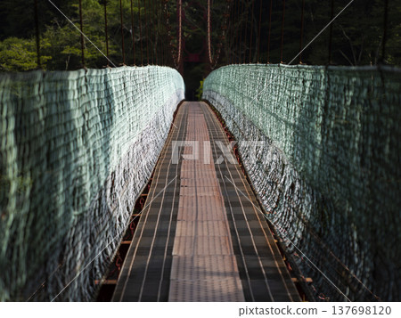 橫跨志岐山水壩湖的德栗懸索橋 橫跨志岐山水壩湖的德栗懸索橋 137698120
