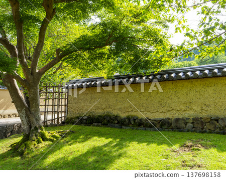 The back approach to Nigatsudo Temple in summer, beautiful with fresh greenery. The back approach to Nigatsudo Temple in summer, beautiful with fresh greenery. 137698158