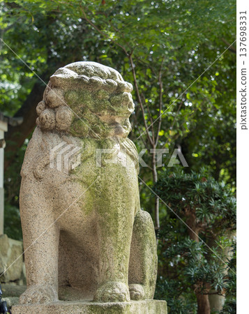 神社裡長滿青苔的守護狐狸 神社裡長滿青苔的守護狐狸 137698331
