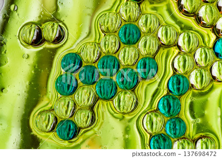 Green and yellow oil bubble grid macro abstract organic texture Green and yellow oil bubble grid macro abstract organic texture 137698472