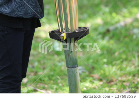 A woman splitting bamboo with a bamboo splitter A woman splitting bamboo with a bamboo splitter 137698559