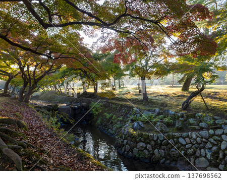 奈良公園吉木川的秋景 137698562