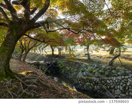 Autumn at Yoshiki River in Nara Park Autumn at Yoshiki River in Nara Park 137698603