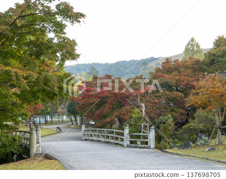 Autumn's Nara Park 137698705