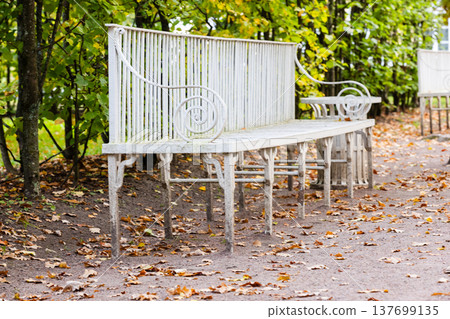 An ornate white metal bench stands in a formal garden 137699135