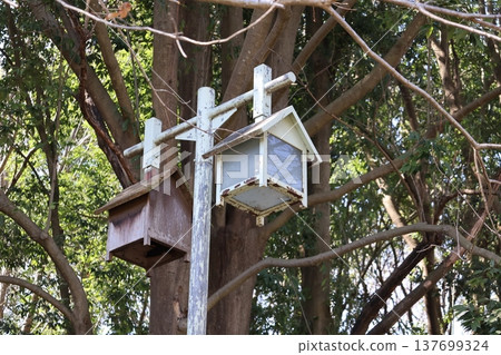 Bird's nesting box Bird's nesting box 137699324