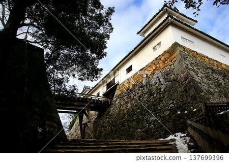 Selected as one of the Eight Views of Hikone and the Eight Views of Lake Biwa... The Tenbin-yagura Tower and Corridor Bridge at the National Treasure Hikone Castle. 137699396