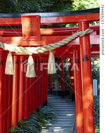 葛城人主神社內的稻荷神社 葛城人主神社內的稻荷神社 137699442