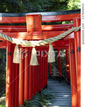 Inari Shrine within the grounds of Katsuragi Hitokotonushi Shrine 137699443