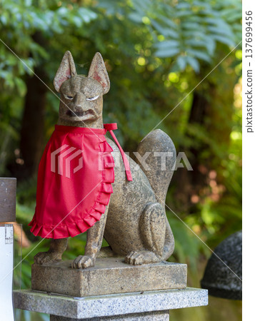 稻荷神社的狐狸 137699456