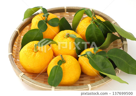Leaves Yuzu Leaves Yuzu 137699500