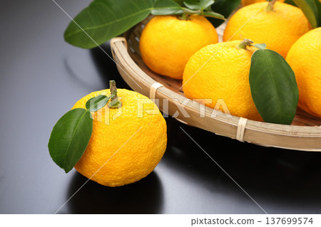 Leaves Yuzu 137699574