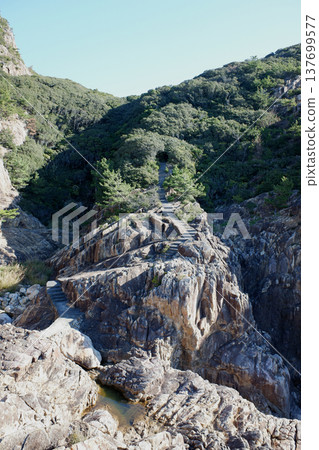 Approach to Ryugu Shrine, Tosashimizu City, Kochi Prefecture 137699577