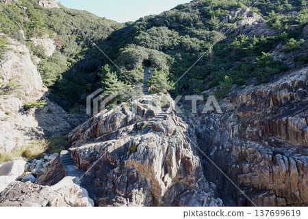 Approach to Ryugu Shrine, Tosashimizu City, Kochi Prefecture 137699619