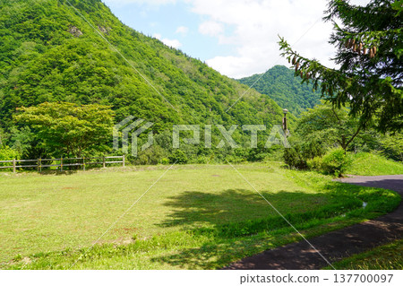 定山溪水壩下游公園 定山溪水壩下游公園 137700097