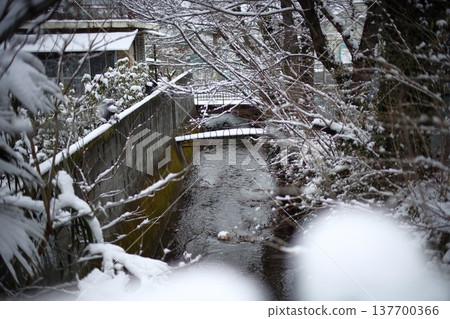 冰雪覆蓋的河流 137700366