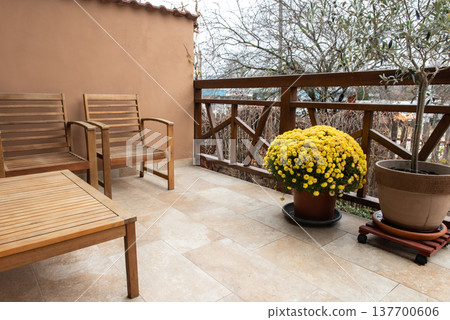 yellow chrysanthemum flower pot on balcony 137700606