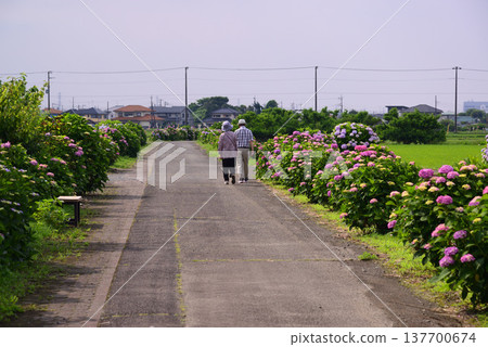 開成町的風景 137700674