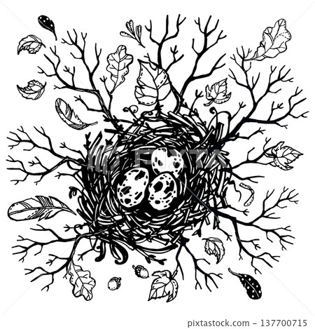Nest with sticking tree branches Nest with sticking tree branches 137700715