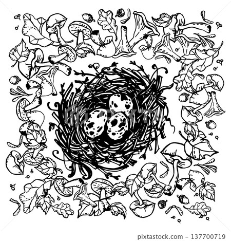 A nest among scattered mushrooms A nest among scattered mushrooms 137700719